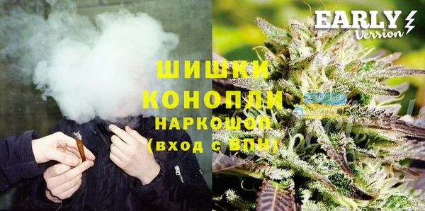 ГАЛЛЮЦИНОГЕННЫЕ ГРИБЫ Аркадак