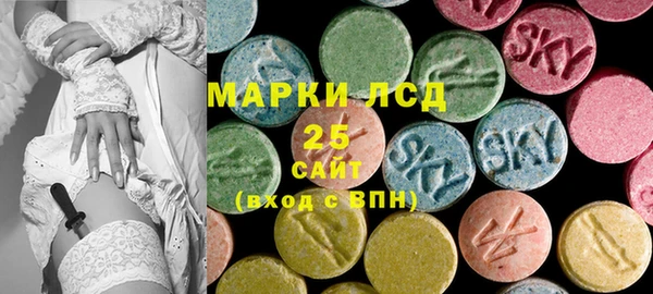 ГАЛЛЮЦИНОГЕННЫЕ ГРИБЫ Аркадак