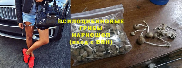 ГАЛЛЮЦИНОГЕННЫЕ ГРИБЫ Аркадак