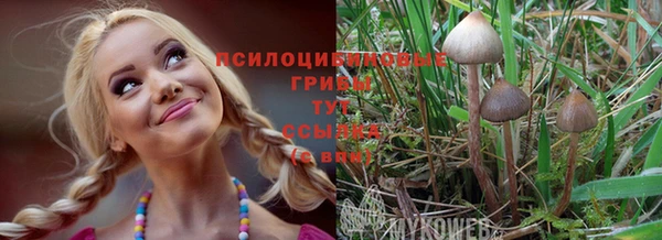 мяу мяу мука Арсеньев