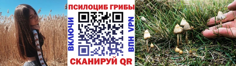 Галлюциногенные грибы Psilocybine cubensis  Магас 